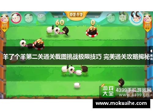 羊了个羊第二关通关截图挑战极限技巧 完美通关攻略揭秘